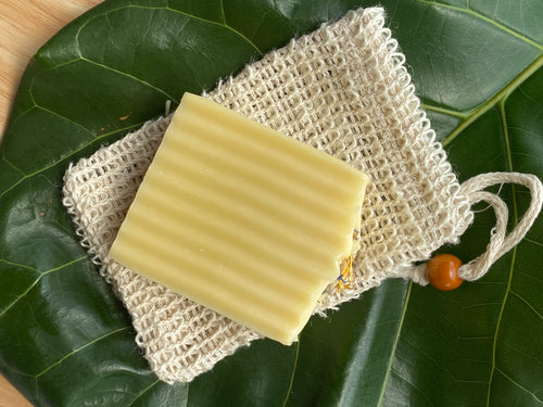Soap Saver and Exfoliate Bag